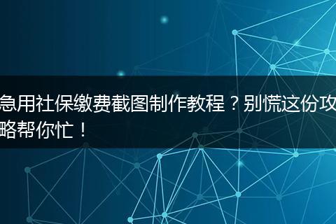急用社保缴费截图制作教程？别慌这份攻略帮你忙！