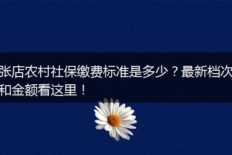 张店农村社保缴费标准是多少？最新档次和金额看这里！