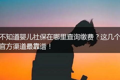 不知道婴儿社保在哪里查询缴费？这几个官方渠道最靠谱！
