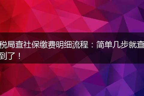 税局查社保缴费明细流程：简单几步就查到了！