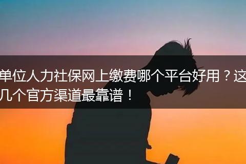 单位人力社保网上缴费哪个平台好用？这几个官方渠道最靠谱！