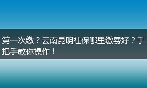 第一次缴？云南昆明社保哪里缴费好？手把手教你操作！