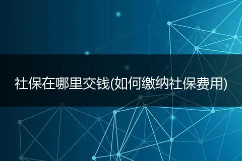 社保在哪里交钱(如何缴纳社保费用)