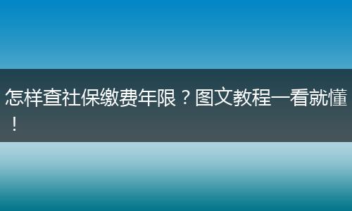 怎样查社保缴费年限？图文教程一看就懂！