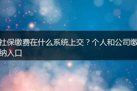 社保缴费在什么系统上交？个人和公司缴纳入口