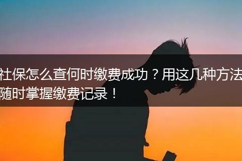 社保怎么查何时缴费成功？用这几种方法随时掌握缴费记录！