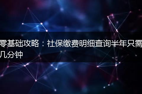 零基础攻略：社保缴费明细查询半年只需几分钟