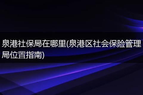 泉港社保局在哪里(泉港区社会保险管理局位置指南)
