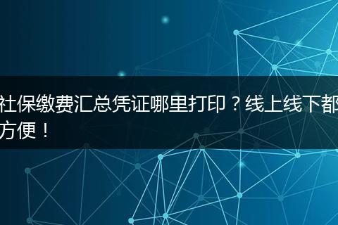 社保缴费汇总凭证哪里打印？线上线下都方便！