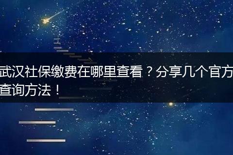 武汉社保缴费在哪里查看？分享几个官方查询方法！