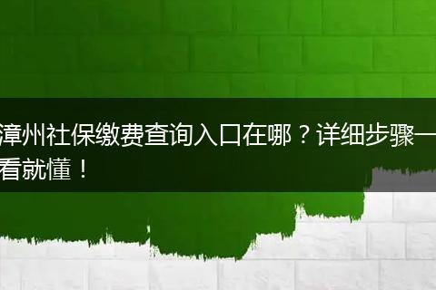 漳州社保缴费查询入口在哪？详细步骤一看就懂！