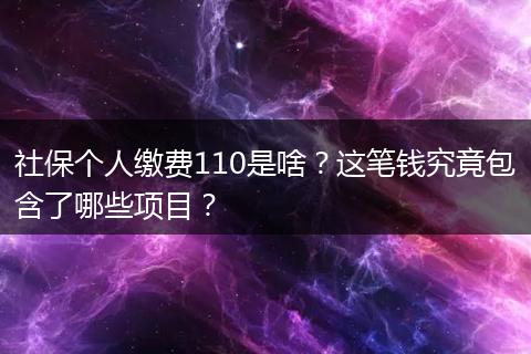 社保个人缴费110是啥?这笔钱究竟包含了哪些项目?