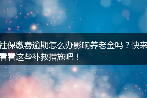 社保缴费逾期怎么办影响养老金吗?快来看看这些补救措施吧!