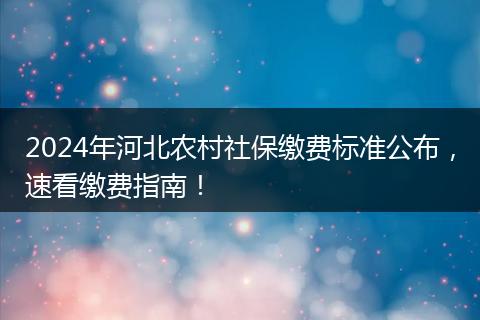 2024年河北农村社保缴费标准公布，速看缴费指南！