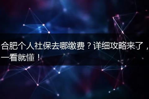 合肥个人社保去哪缴费？详细攻略来了，一看就懂！