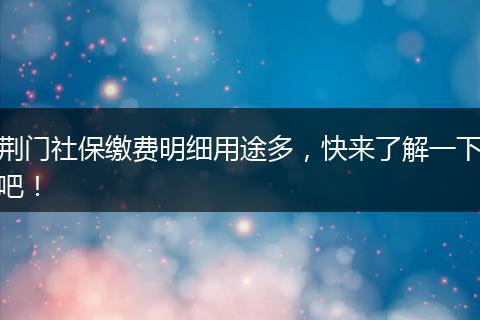 荆门社保缴费明细用途多，快来了解一下吧！
