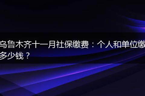 乌鲁木齐十一月社保缴费：个人和单位缴多少钱？
