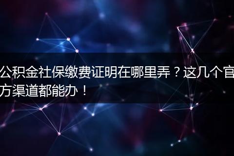 公积金社保缴费证明在哪里弄？这几个官方渠道都能办！