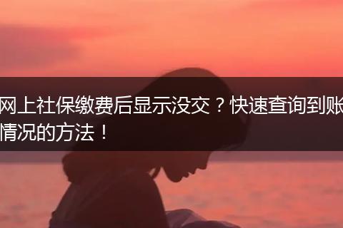 网上社保缴费后显示没交？快速查询到账情况的方法！