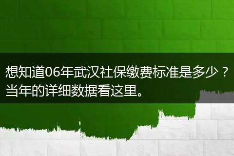 想知道06年武汉社保缴费标准是多少？当年的详细数据看这里。