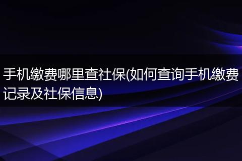 手机缴费哪里查社保(如何查询手机缴费记录及社保信息)