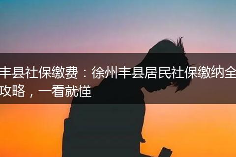 丰县社保缴费:徐州丰县居民社保缴纳全攻略,一看就懂