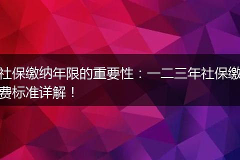 社保缴纳年限的重要性：一二三年社保缴费标准详解！