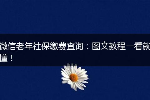微信老年社保缴费查询：图文教程一看就懂！