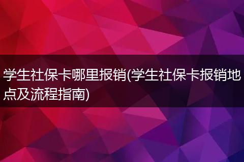 学生社保卡哪里报销(学生社保卡报销地点及流程指南)