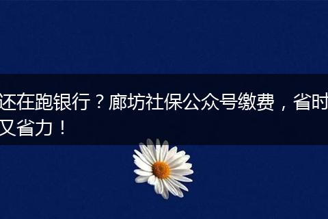 还在跑银行？廊坊社保公众号缴费，省时又省力！