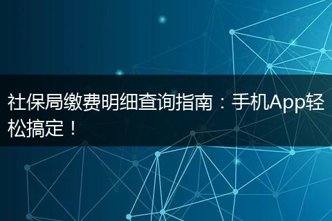 社保局缴费明细查询指南：手机App轻松搞定！