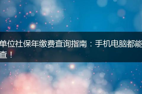 单位社保年缴费查询指南：手机电脑都能查！