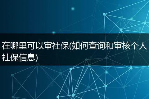 在哪里可以审社保(如何查询和审核个人社保信息)