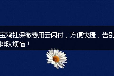 宝鸡社保缴费用云闪付，方便快捷，告别排队烦恼！