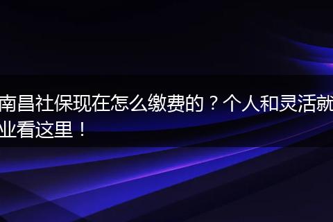 南昌社保现在怎么缴费的？个人和灵活就业看这里！