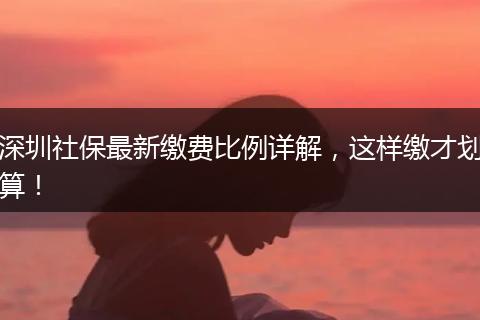 深圳社保最新缴费比例详解，这样缴才划算！