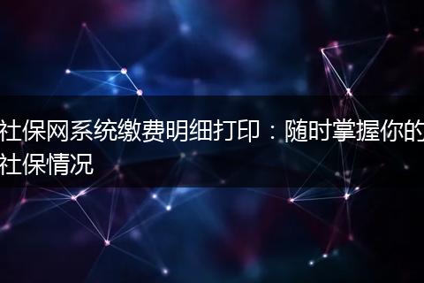 社保网系统缴费明细打印：随时掌握你的社保情况