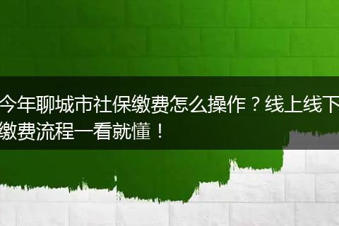 今年聊城市社保缴费怎么操作？线上线下缴费流程一看就懂！
