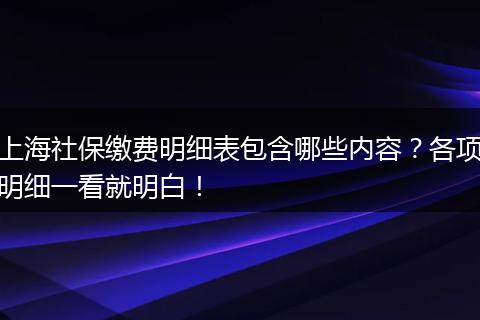 上海社保缴费明细表包含哪些内容？各项明细一看就明白！