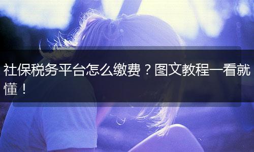 社保税务平台怎么缴费？图文教程一看就懂！