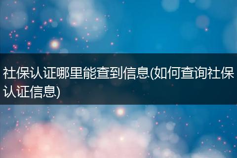 社保认证哪里能查到信息(如何查询社保认证信息)