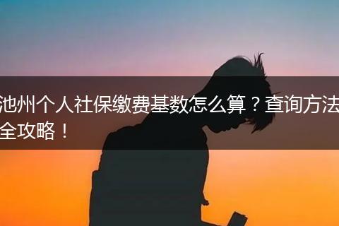 池州个人社保缴费基数怎么算？查询方法全攻略！