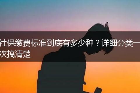 社保缴费标准到底有多少种？详细分类一次搞清楚