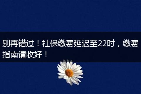 别再错过！社保缴费延迟至22时，缴费指南请收好！