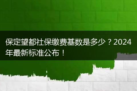 保定望都社保缴费基数是多少？2024年最新标准公布！