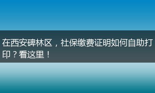 在西安碑林区，社保缴费证明如何自助打印？看这里！
