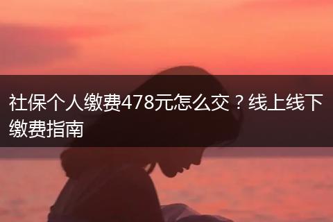 社保个人缴费478元怎么交？线上线下缴费指南