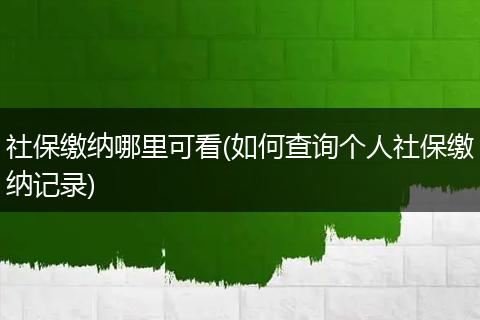社保缴纳哪里可看(如何查询个人社保缴纳记录)