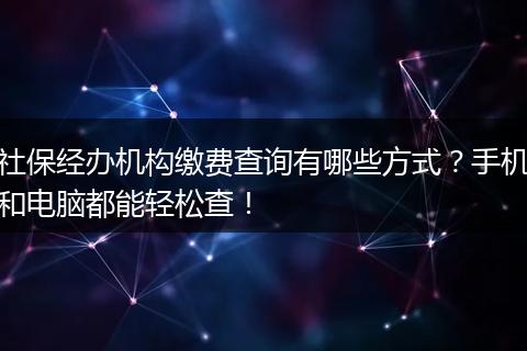 社保经办机构缴费查询有哪些方式？手机和电脑都能轻松查！