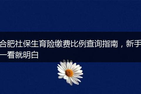 合肥社保生育险缴费比例查询指南,新手一看就明白